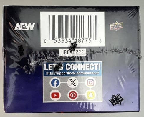 2025 Upper Deck AEW Wrestling 48ct. Blaster Box