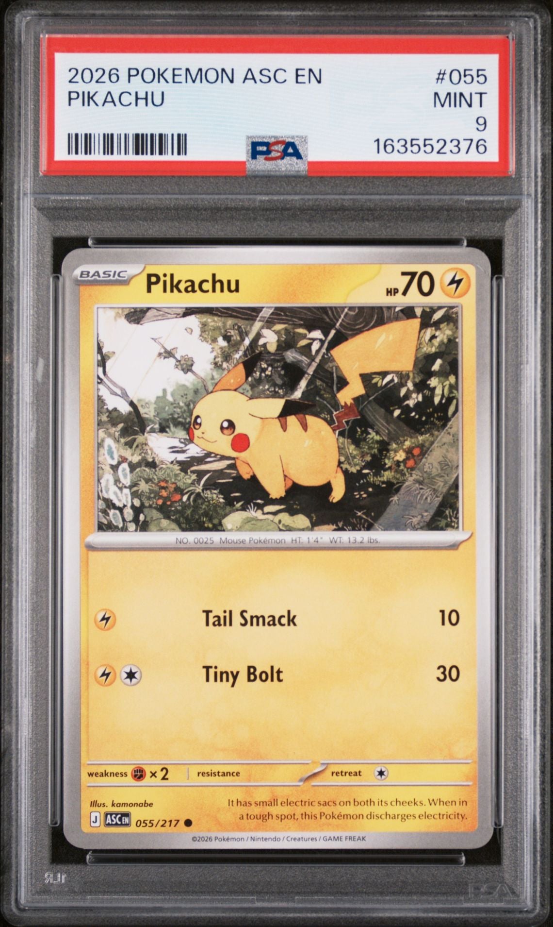 2026 Pokémon Ascended Heroes #055 Pikachu graded PSA 9 slab